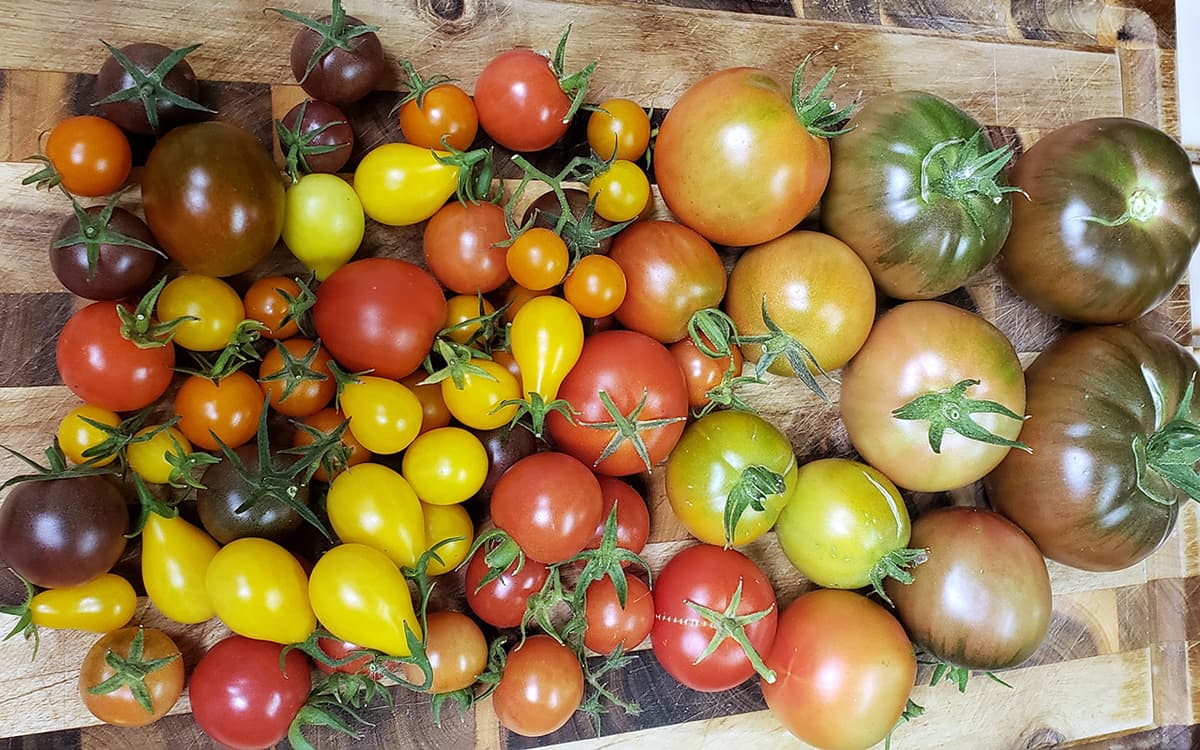 Heirloom Tomatoes
